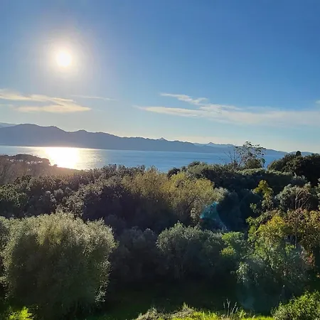 Les Marines Du Soleil *